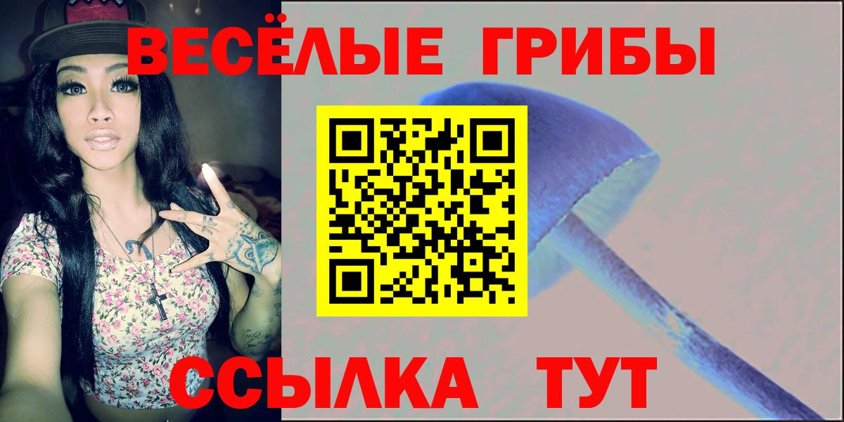 Псилоцибиновые грибы прущие грибы Красноуфимск